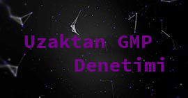 uzaktan-gmp-denetimi-virtual-gmp-audit-remote-gmp-audit.html